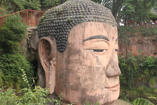 1-Day Chengdu Panda Base and Leshan Giant Buddha GROUP Tour - Two Sichuan icons in one long day
