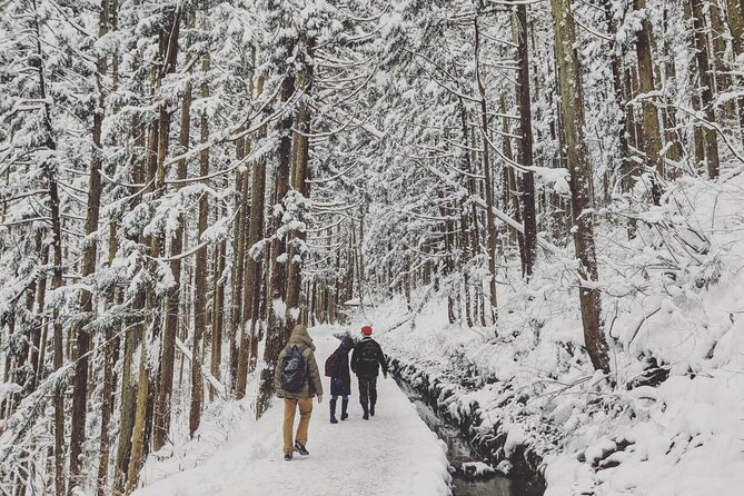 1-Day Snow Monkeys, Zenko-ji Temple & Sake in Nagano - The monkeys are wild, and that matters