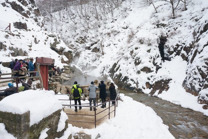 1-Day Snow Monkeys, Zenko-ji Temple & Sake in Nagano - Who will enjoy this day most