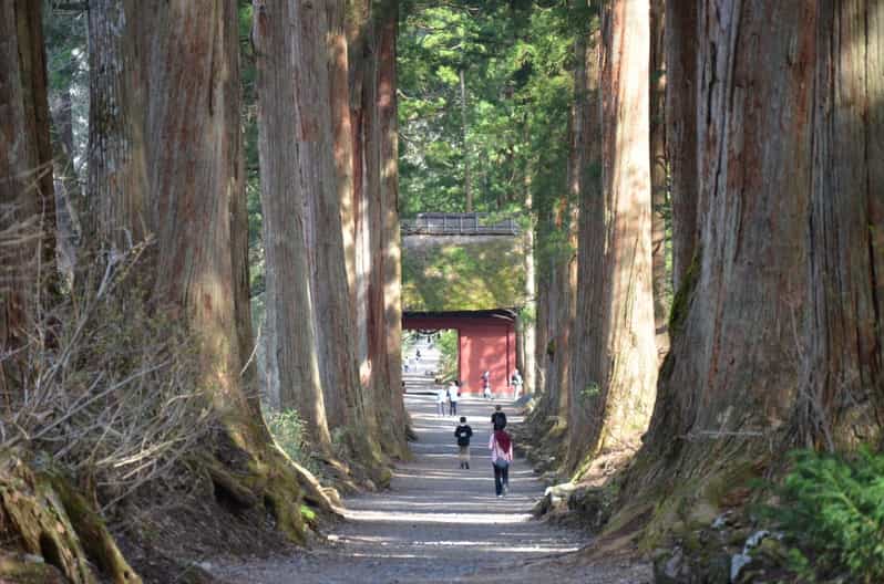 1-Day Togakushi: Soba making, Ninja Town and Hidden Shrines - Making soba from flour to lunch