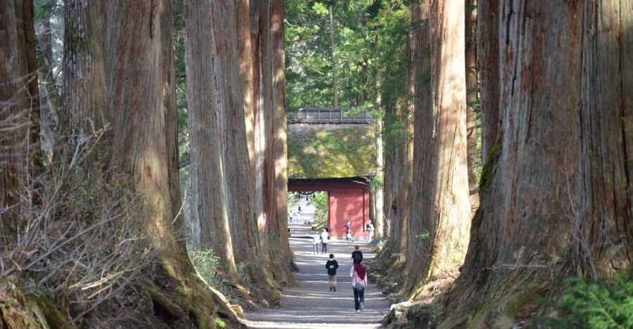 1-Day Togakushi: Soba making, Ninja Town and Hidden Shrines - Finding your way through the Ninja Trick House
