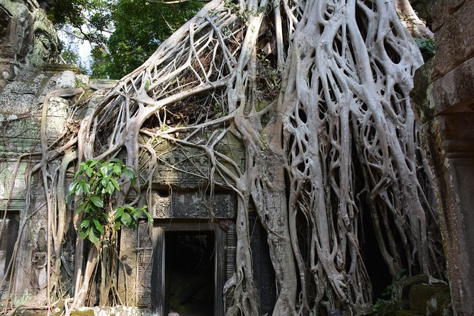 2-Day Angkor Wat Tour from Bangkok - Angkor Wat, Bayon, and Ta Prohm in one long morning