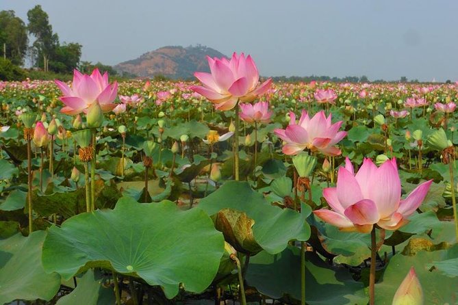 2-Day Angkor Wat Tour from Bangkok - The return to Thailand takes most of day two