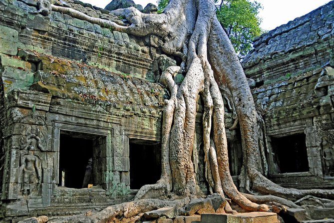 2-Day Angkor Wat With Small, Big Circuit and Banteay Srei Tour - Day one: Angkor Wat, Ta Prohm, and the heart of Angkor Thom