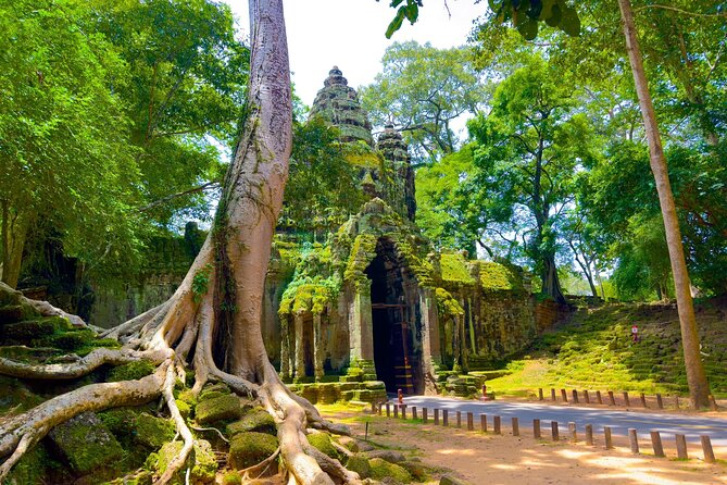 2 Days Exclusive Temple Highlights with Sunset and Sunrise Tour - Ta Prohm delivers the jungle setting