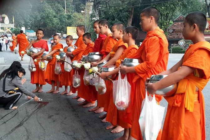 4 highlights: Sticky Waterfall/Elephants/local market /Wat Banden - The elephant stop: useful, but ask for the detail
