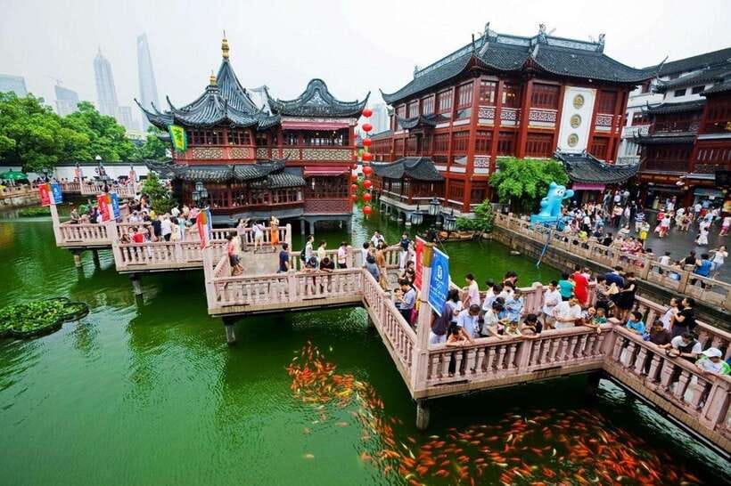 4-Hour Shanghai Best Garden and Temple Tour with Tea Tasting - What $99 includes, and where the value lies
