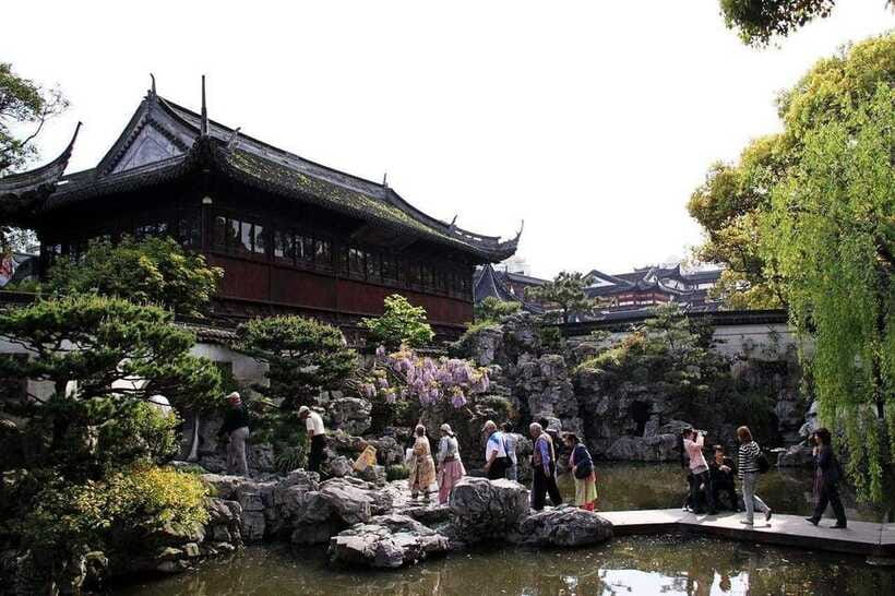 4-Hour Shanghai Best Garden and Temple Tour with Tea Tasting - Who should book this Shanghai tour