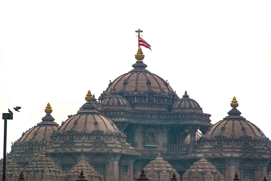 5-Hour Half-Day Delhi Temple Tour with Pick-Up & Drop-Off - Lunch, shopping, and the cost of a packed schedule