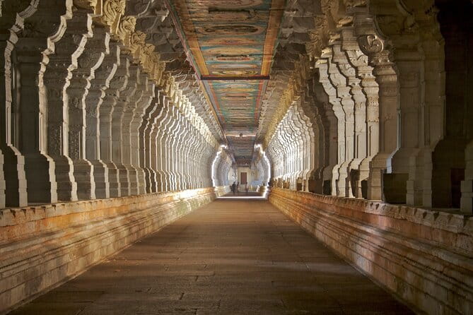 A Guided Cultural Immersion:Meenakshi Temple’s Night Ceremony - Practical points before you book