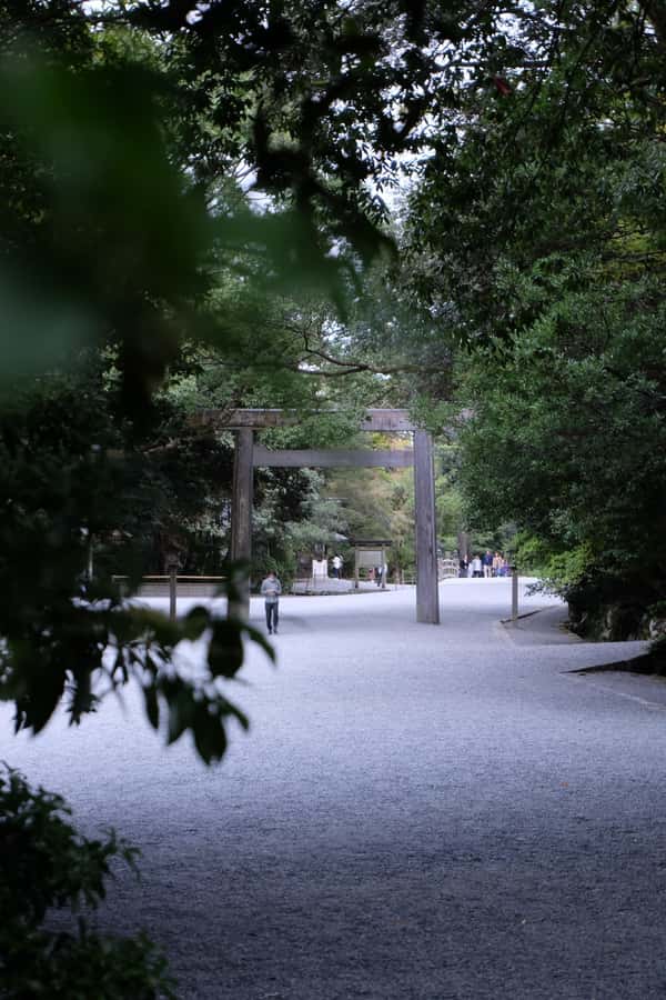A trip to visit Ise Grand Shrine and experience Ama culture - Ise Jingu, Japan’s most important shrine visit