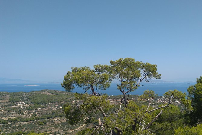 Aegina Island St Nektarios & Temple of Athina Aphaia Private Tour - Why Aegina makes a strong day trip from Athens