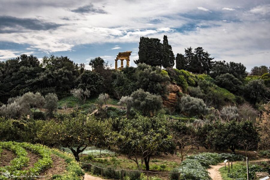 Agrigento Valley of the Temples and Kolymbethra Private Tour - Meeting the guide at the Temple of Hera