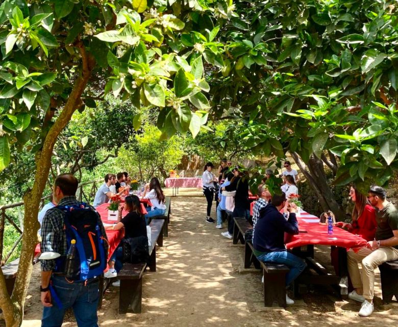 Agrigento: Valley of the Temples Gardens Picnic Experience - Cancellation, timing, and practical planning