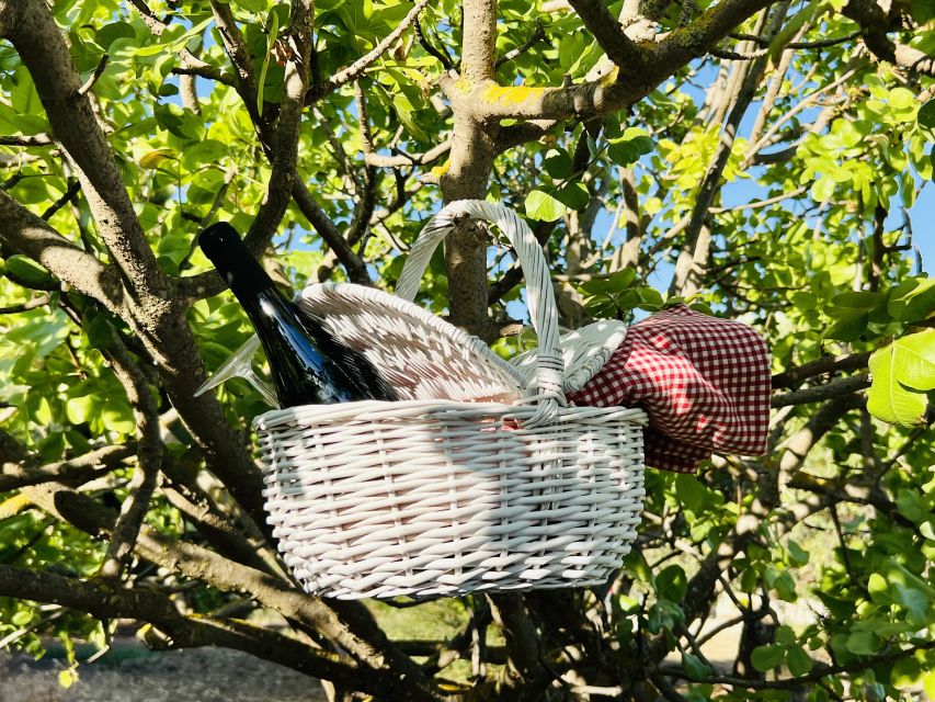 Agrigento: Valley of the Temples Gardens Picnic Experience - A self-guided walk through citrus trees and ancient hypogea