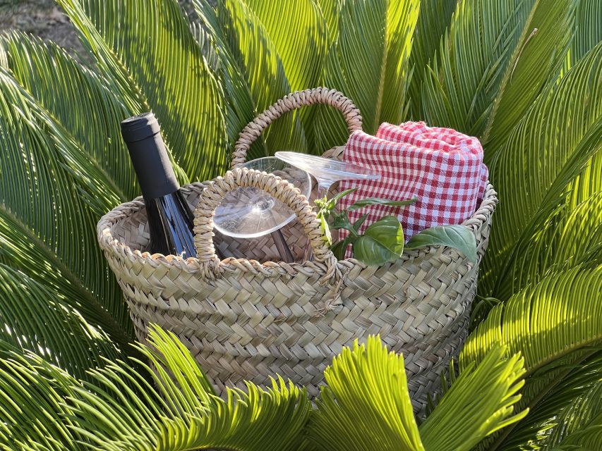 Agrigento: Valley of the Temples Gardens Picnic Experience - Is the picnic worth the price?