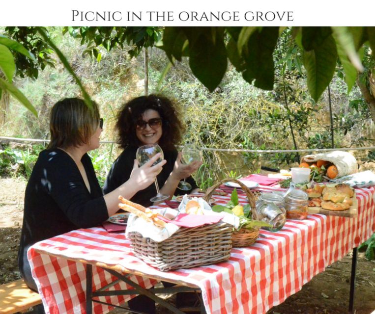 Agrigento: Valley of the Temples Gardens Picnic Experience - Who should book this 90-minute experience?