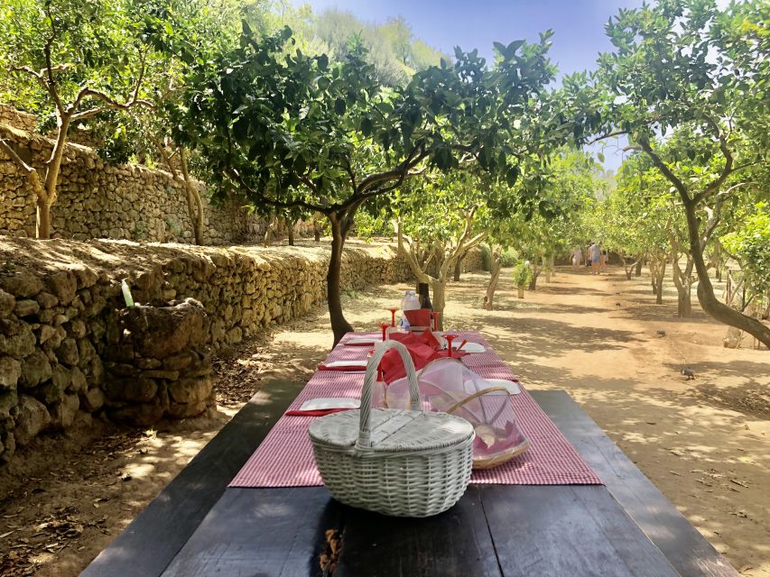 Agrigento: Valley of the Temples Gardens Picnic Experience - How to fit it into a Valley of the Temples day