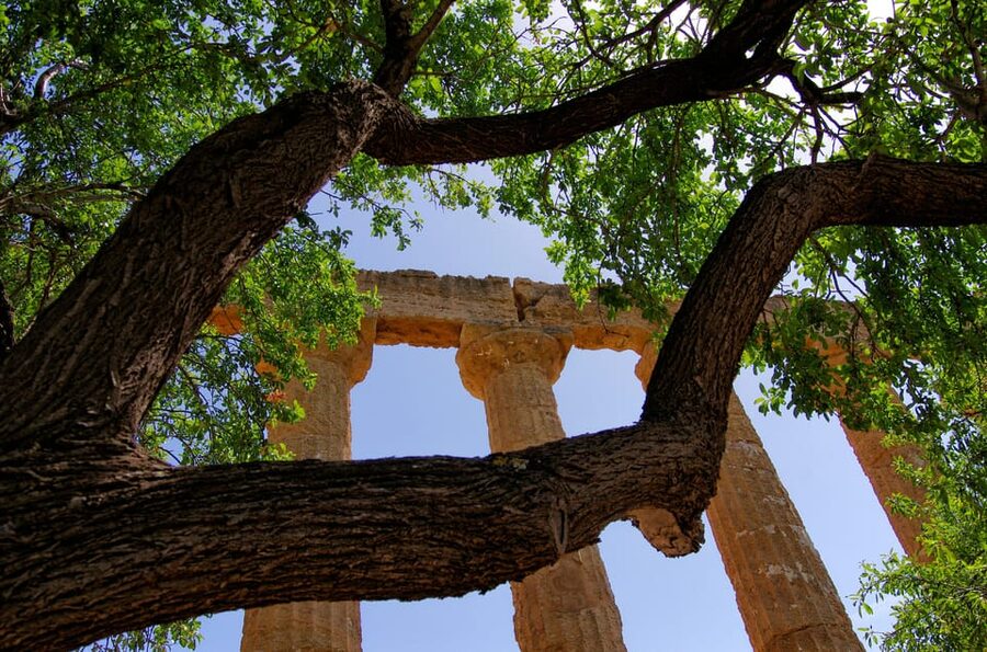 Agrigento: Valley of the Temples Private Archeological Tour - Comfort, walking, and practical limits