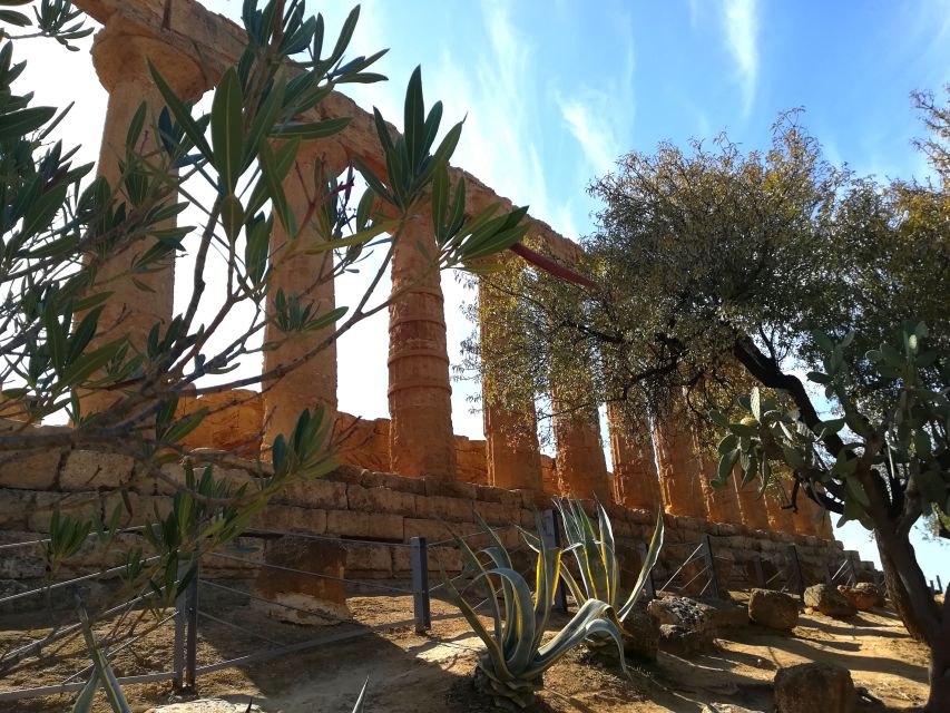 Agrigento: Valley of the Temples Private Tour - Should you book the Valley of the Temples private tour?