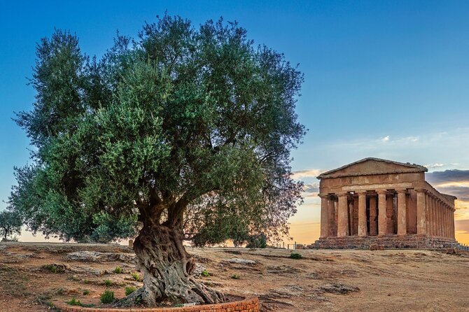 Agrigento; Valley of the Temples, Scala dei Turchi from Palermo, Private Tour - Who should book this private Agrigento day trip