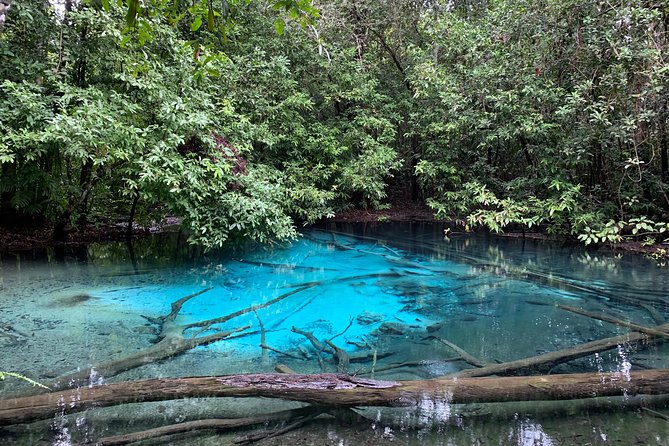 All day Krabi Jungle Tour (Hot Spring Water, Emerald Pool, Tiger Cave Temple) - The rainforest path to Emerald Pool
