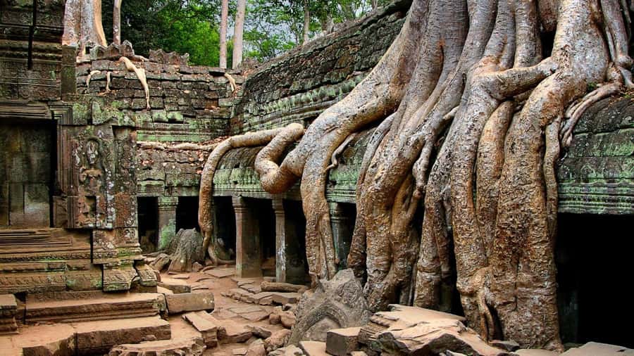 Angkor Region: 3-day Private Tour of Top Temples - Key points to know before booking