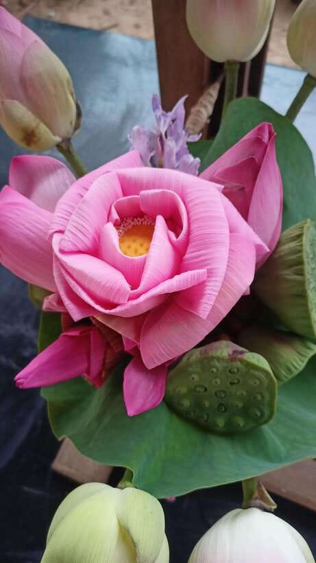 Angkor Silk Farm & Lotus Silk Farm: Siem Reap Discovery Tour - Why this textile tour is worth your morning