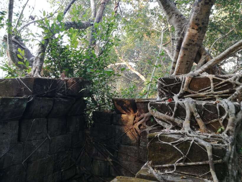 Angkor Temples Highlights Tour: 2 Days with Sunrise - Ta Prohm and Ta Keo bring two very different moods