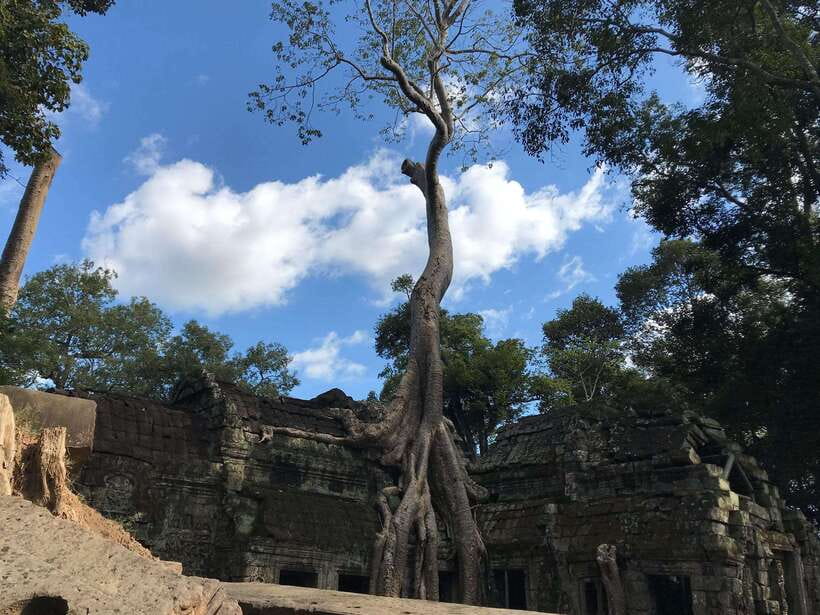 Angkor Temples Highlights Tour: 2 Days with Sunrise - Timing, heat, and the real cost