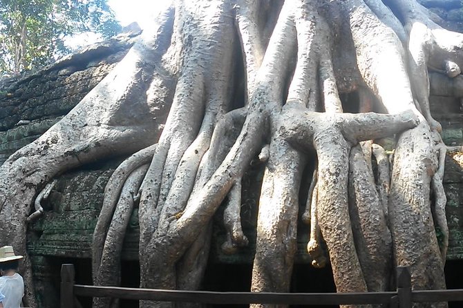 Angkor Wat 3-Day Tour from Bangkok - Angkor Wat deserves the early start