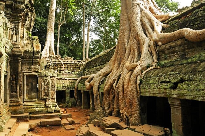 Angkor Wat full Day 'Small Group with sunset & Tour Guide - Ta Prohm: the Tomb Raider temple