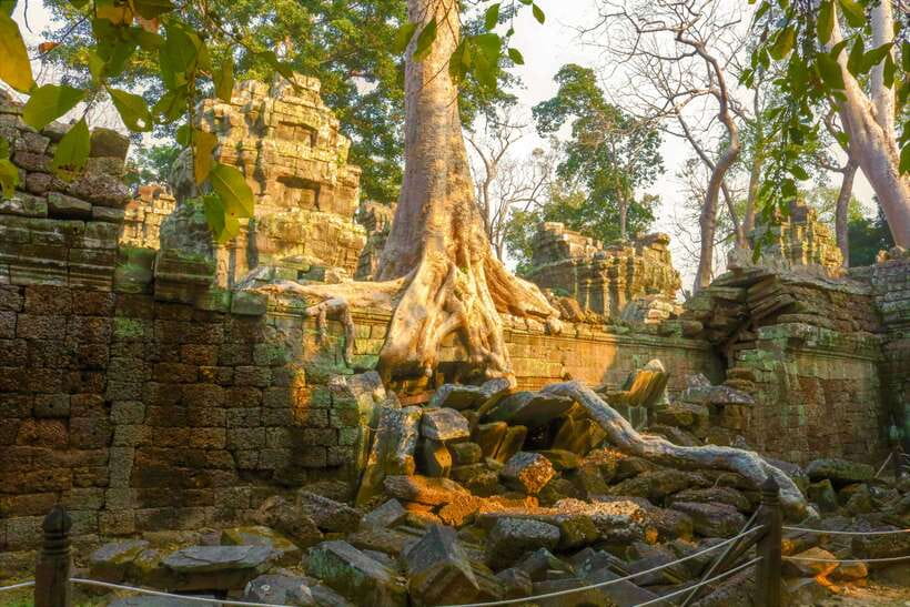 Angkor Wat: Full-Day Temples Small Group Tour - Ta Prohm, roots, and the Tomb Raider connection