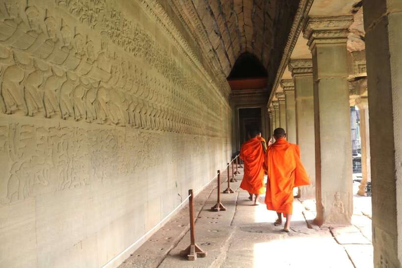 Angkor Wat: Highlights and Sunrise Guided Tour - Ta Prohm and the power of the jungle ruins