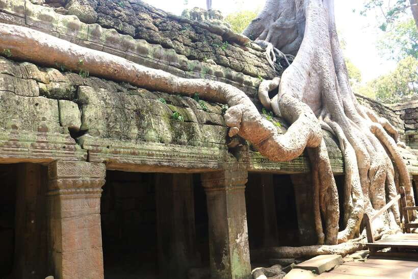 Angkor Wat: Highlights and Sunrise Guided Tour - What the $19 price really buys you