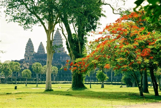 Angkor Wat one Day Private Tour for All Highlight Angkor Temples - The Terraces reveal the public side of Angkor