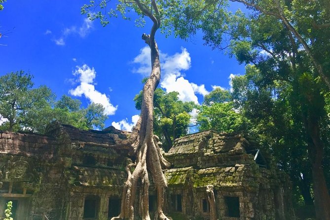 Angkor Wat one Day Private Tour for All Highlight Angkor Temples - Ta Nei offers a quieter change of pace