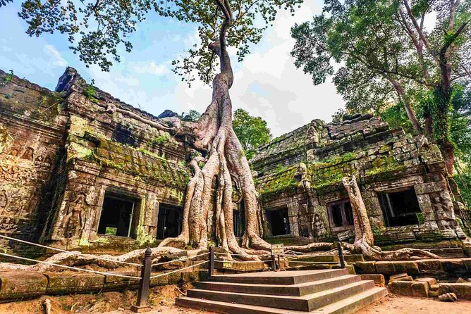 Angkor Wat Private Day Tour from Siem Reap - Ta Prohm and the power of the jungle