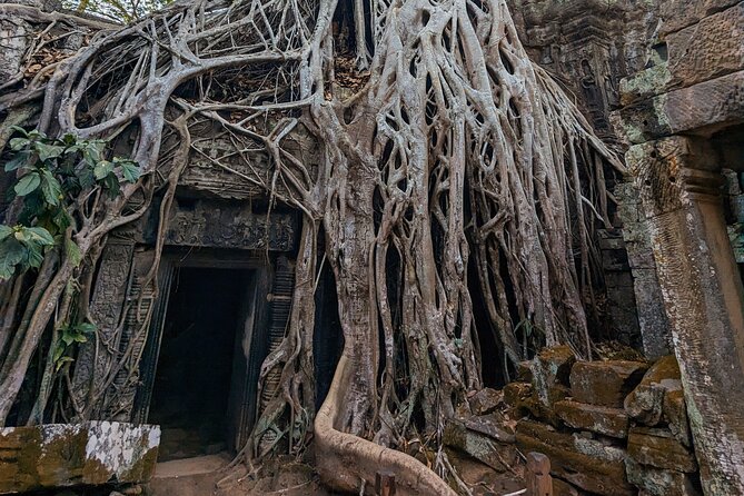 Angkor Wat Private Tuk-Tuk Tour (sunrise Option) & more - Ta Keo, a massive unfinished-looking monument