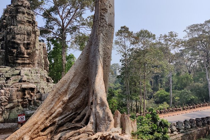 Angkor Wat Private Tuk-Tuk Tour (sunrise Option) & more - Ta Prohm, roots, stone, and a famous film setting