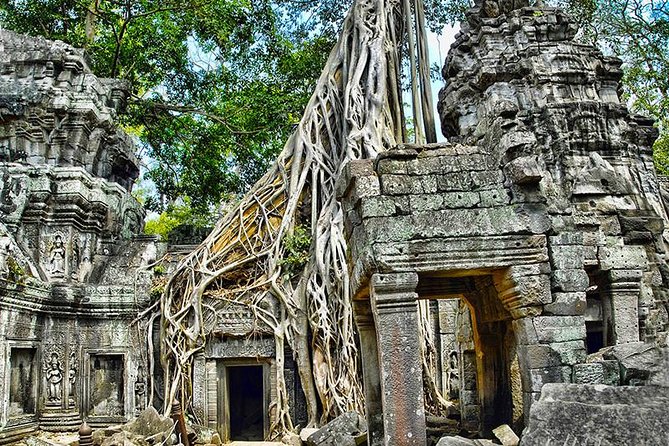Angkor Wat Small-Group Exploration with Expert Guide - A guide can change the whole day