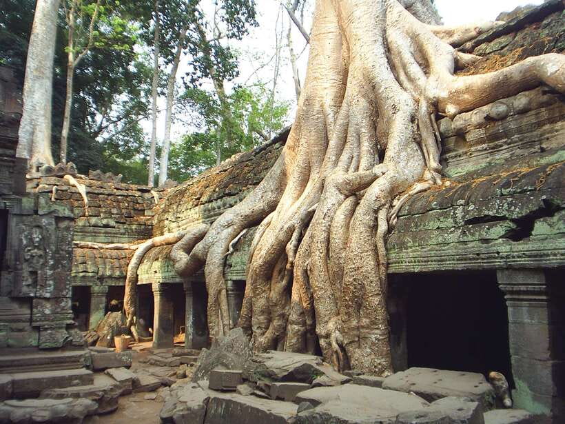 Angkor Wat: Small-Group Tour with Balloon Ride and Lunch - Bayon’s stone faces and the royal terraces