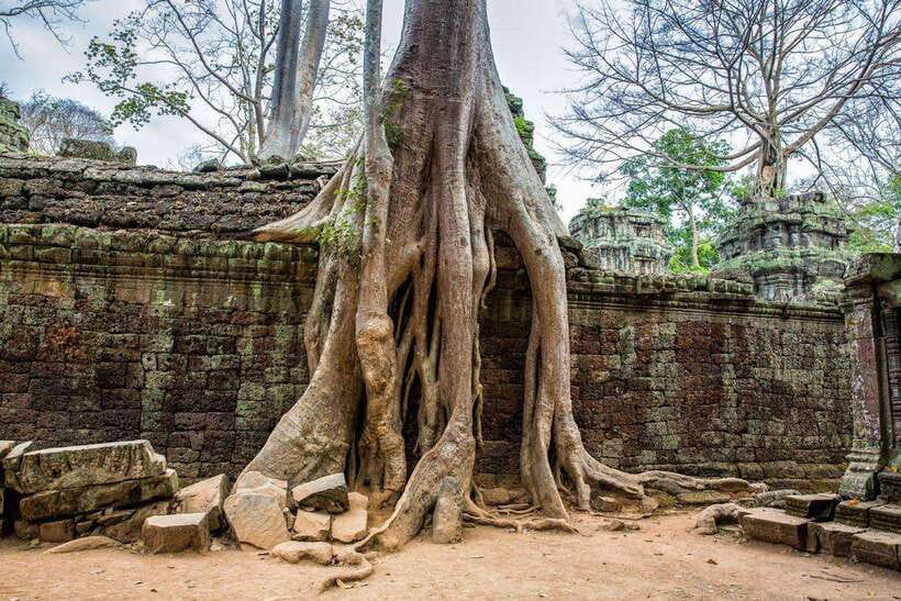 Angkor Wat Small Tour Sunrise With Private Tuk Tuk - Who will enjoy this eight-hour temple day