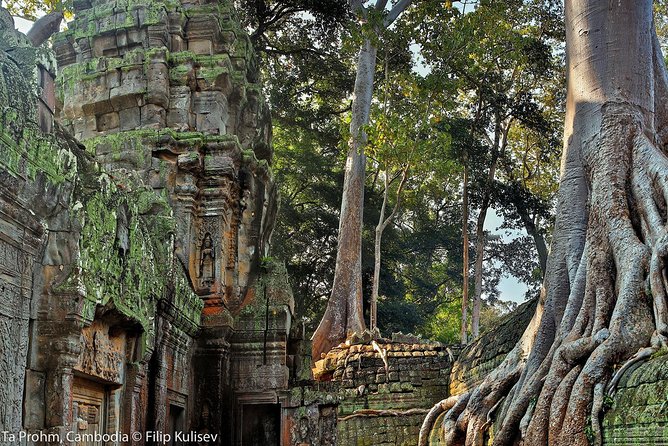 Angkor Wat Sunrise or Sunset Tour with Guide from Siem Reap - Ta Prohm and the tree-covered ruins