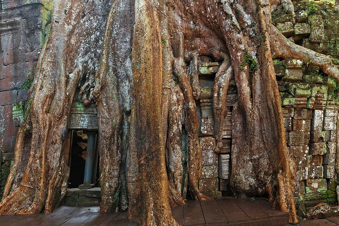 Angkor Wat Sunrise or Sunset Tour with Guide from Siem Reap - The guides are a central part of the experience