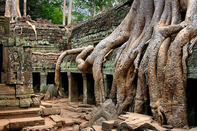 Angkor Wat Sunrise or Sunset Tour with Guide from Siem Reap - Pace, walking, food, and comfort