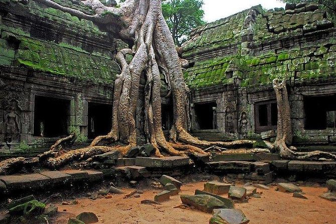 Angkor Wat Sunrise Tour - What your $26 actually buys