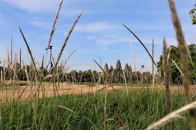 Angkor Wat: Tuk Tuk and Walking Tour - Ta Prohm, where the forest enters the ruins