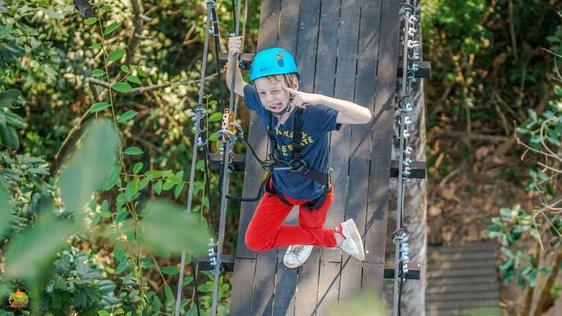Angkor Zipline Eco-Adventure Canopy Tour - Key points to know before booking
