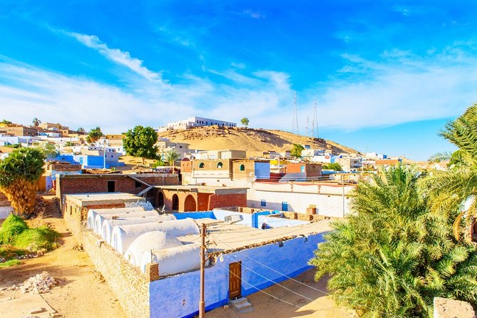 Aswan: Private Tour to Philae Temple and Nubian Village By Boat & Entrance Fees - A private guide can shape the whole outing
